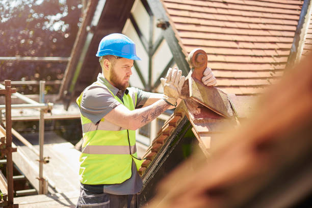 Roof Gutter Cleaning in Alta, IA